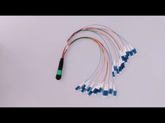 Cáp vá sợi quang MPO-12F LC